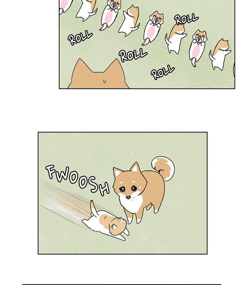 The Dog Diaries Chapter 16 - page 28