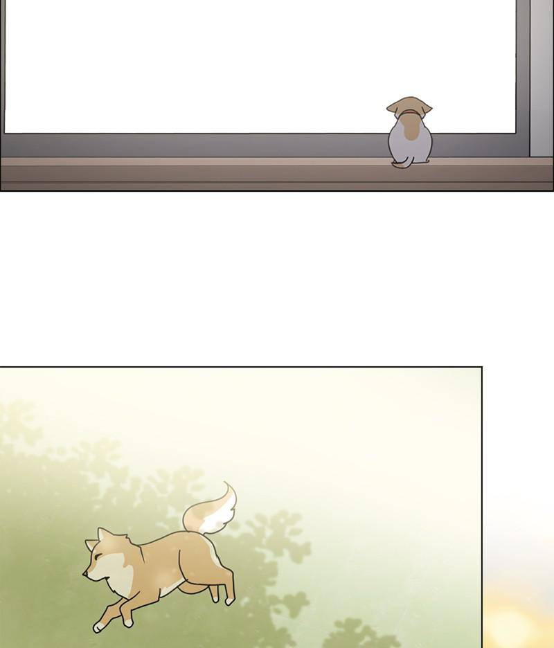 The Dog Diaries Chapter 16 - page 56
