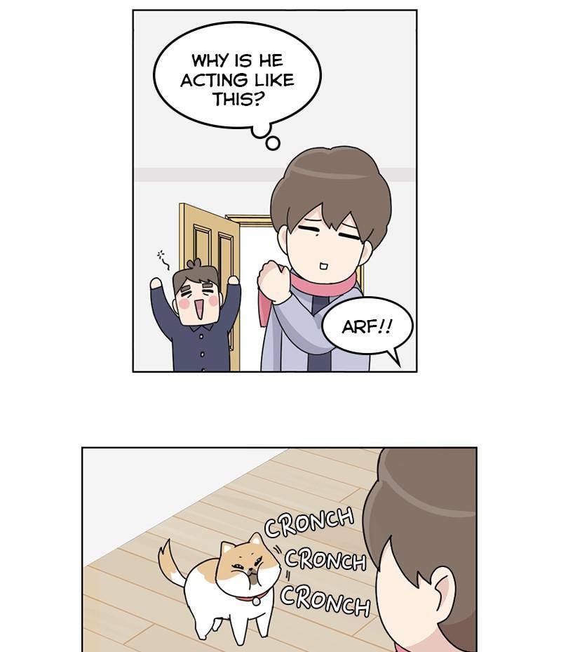 The Dog Diaries Chapter 16 - page 9
