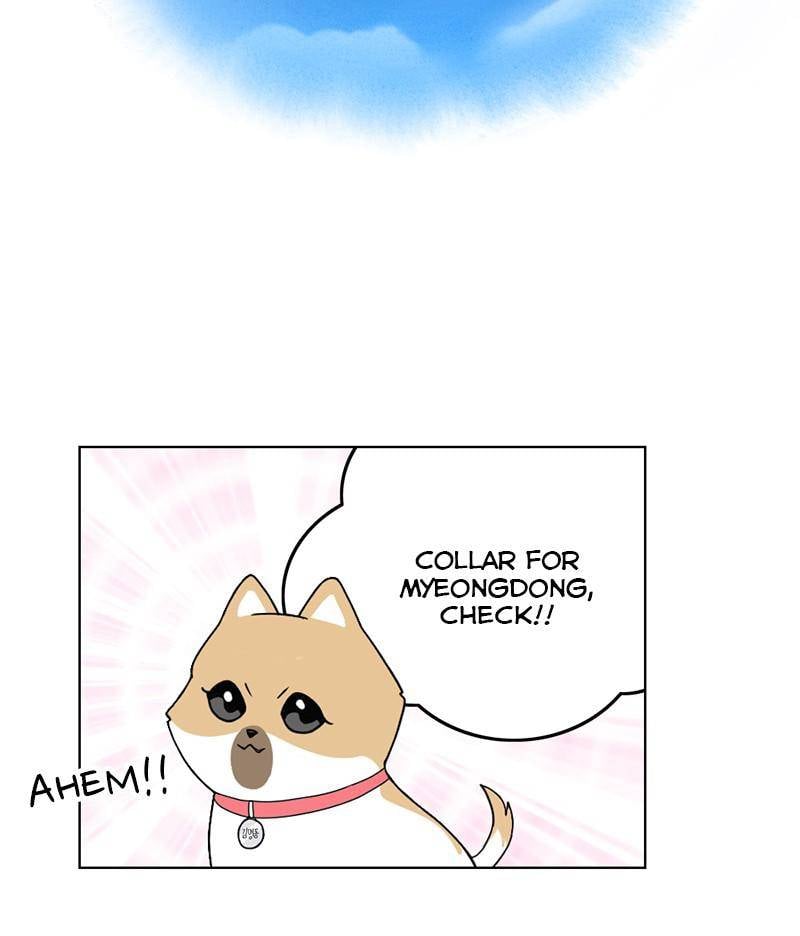 The Dog Diaries Chapter 14 - page 10