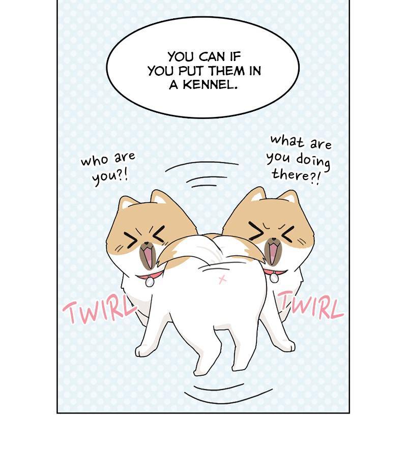 The Dog Diaries Chapter 14 - page 18