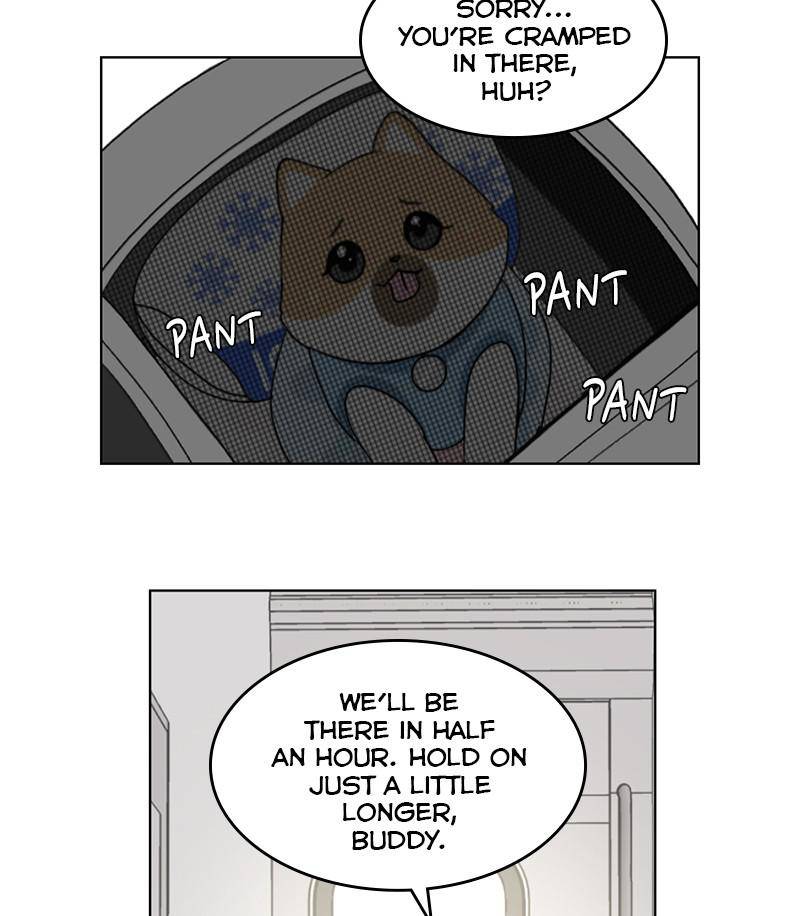 The Dog Diaries Chapter 14 - page 37