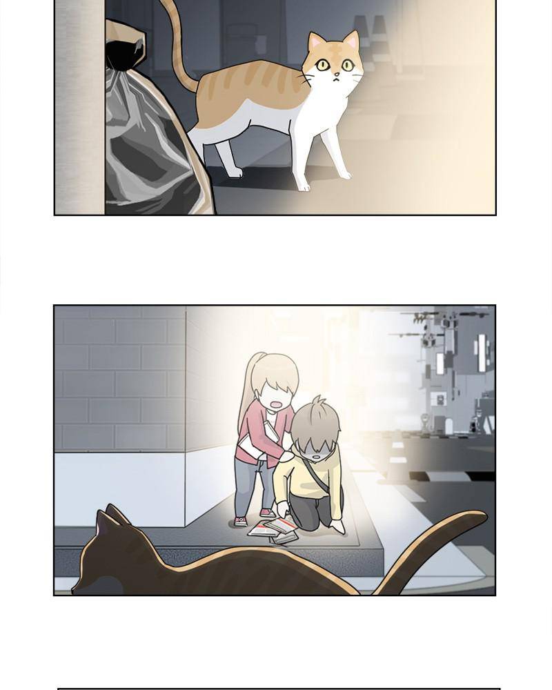 The Dog Diaries Chapter 10 - page 38
