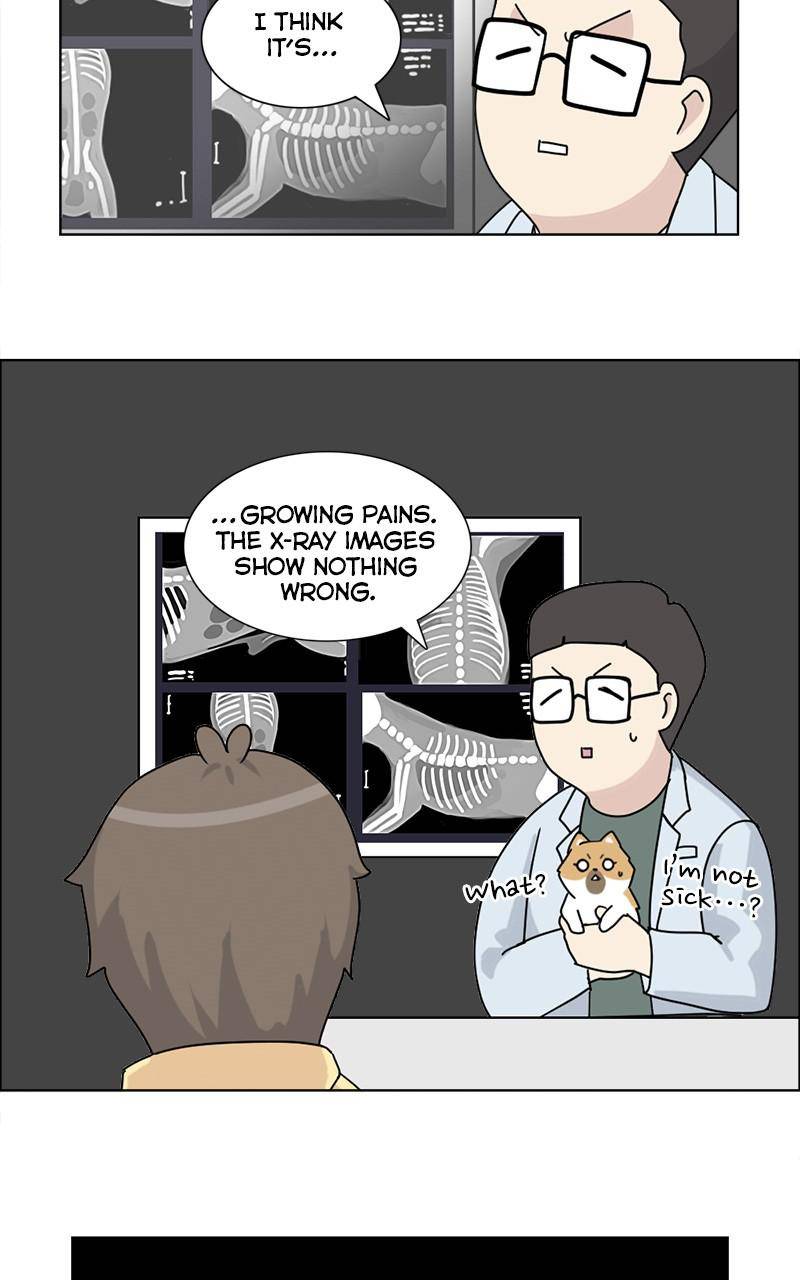 The Dog Diaries Chapter 9 - page 15
