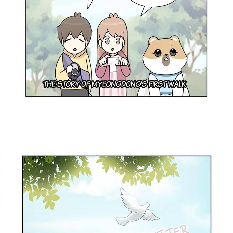 The Dog Diaries Chapter 8 - page 11