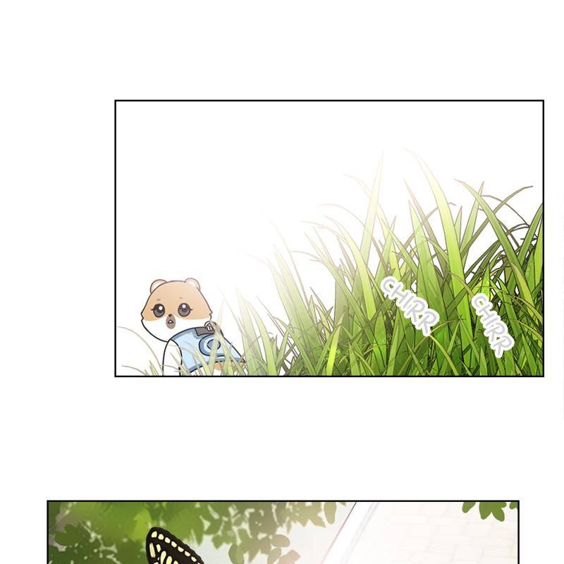 The Dog Diaries Chapter 8 - page 13