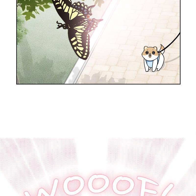 The Dog Diaries Chapter 8 - page 14