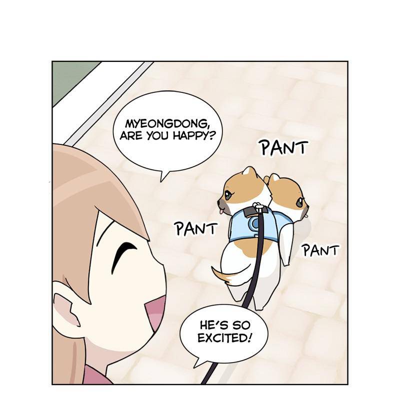 The Dog Diaries Chapter 8 - page 19