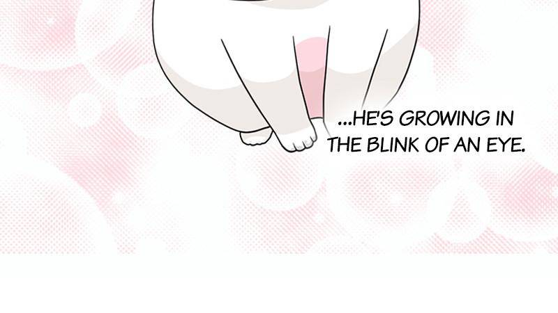 The Dog Diaries Chapter 8 - page 73