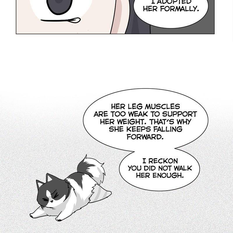 The Dog Diaries Chapter 7 - page 39