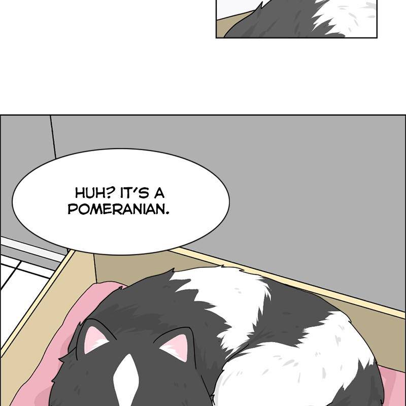 The Dog Diaries Chapter 6 - page 20
