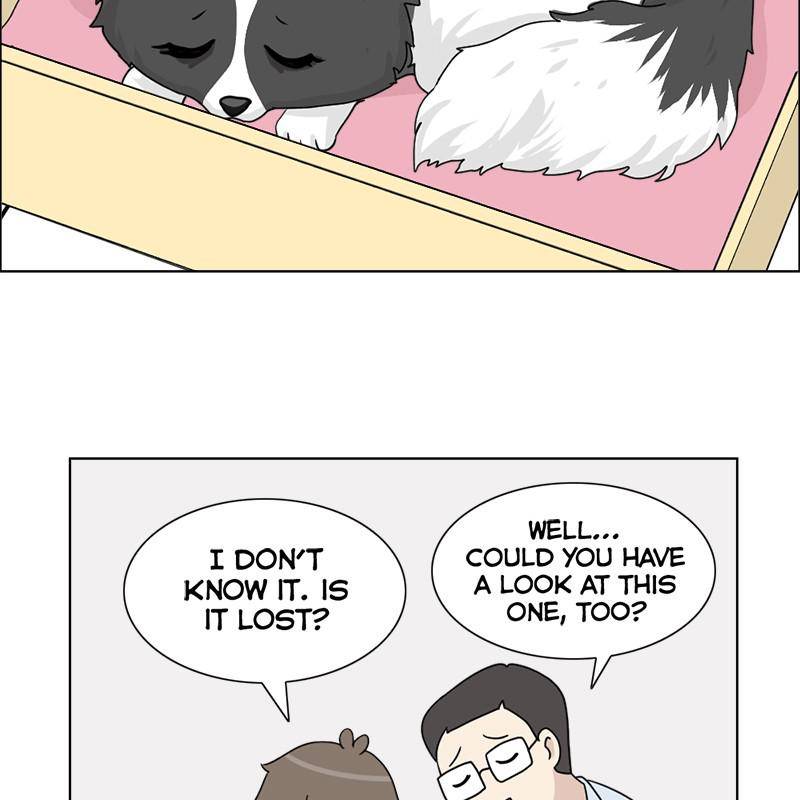 The Dog Diaries Chapter 6 - page 21