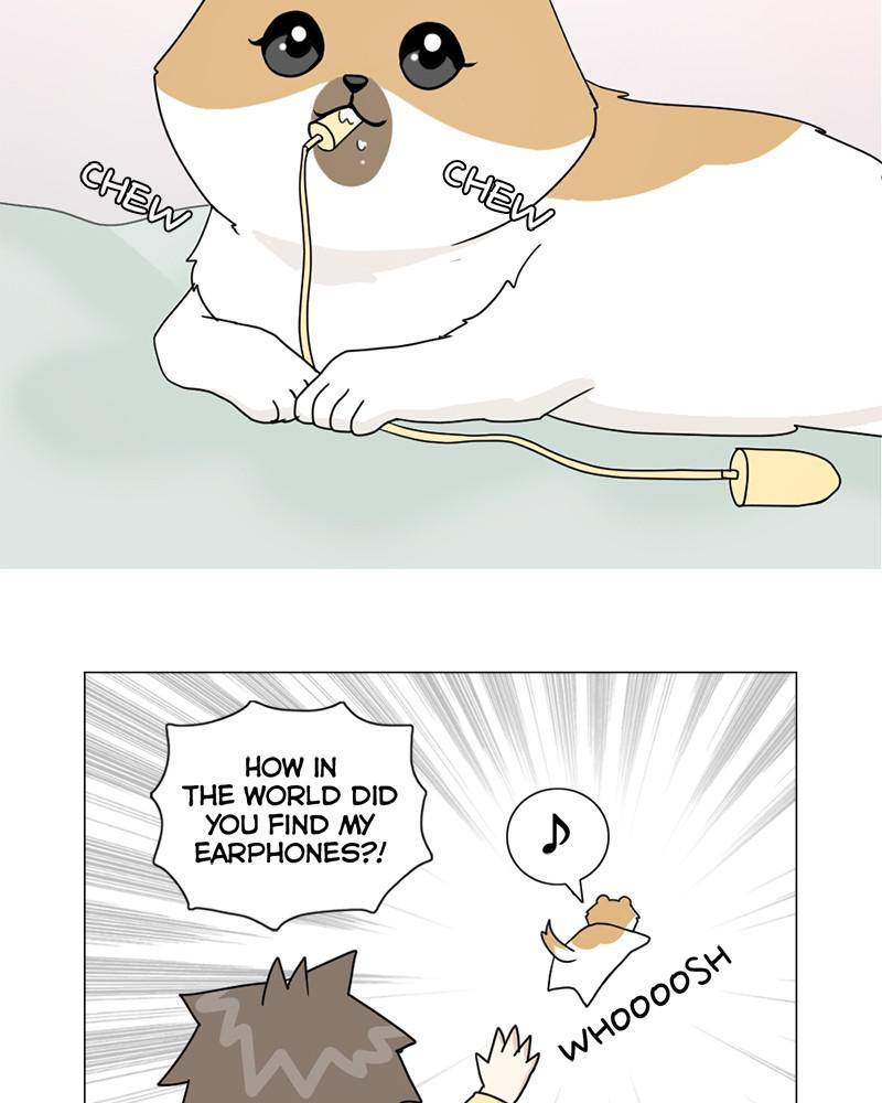 The Dog Diaries Chapter 6 - page 38