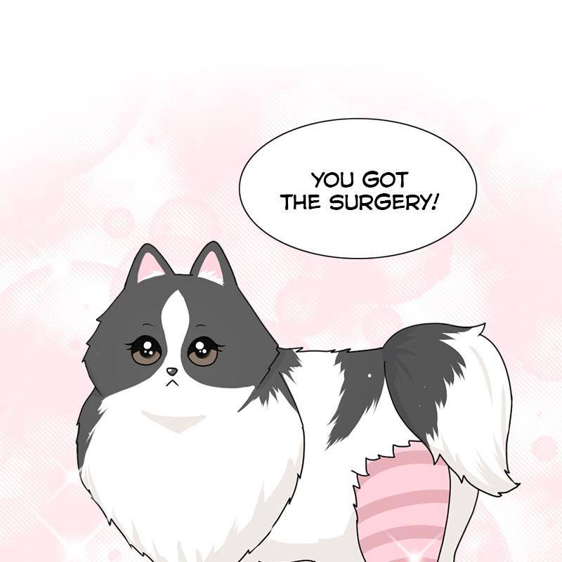 The Dog Diaries Chapter 6 - page 51