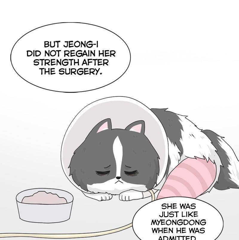 The Dog Diaries Chapter 6 - page 58