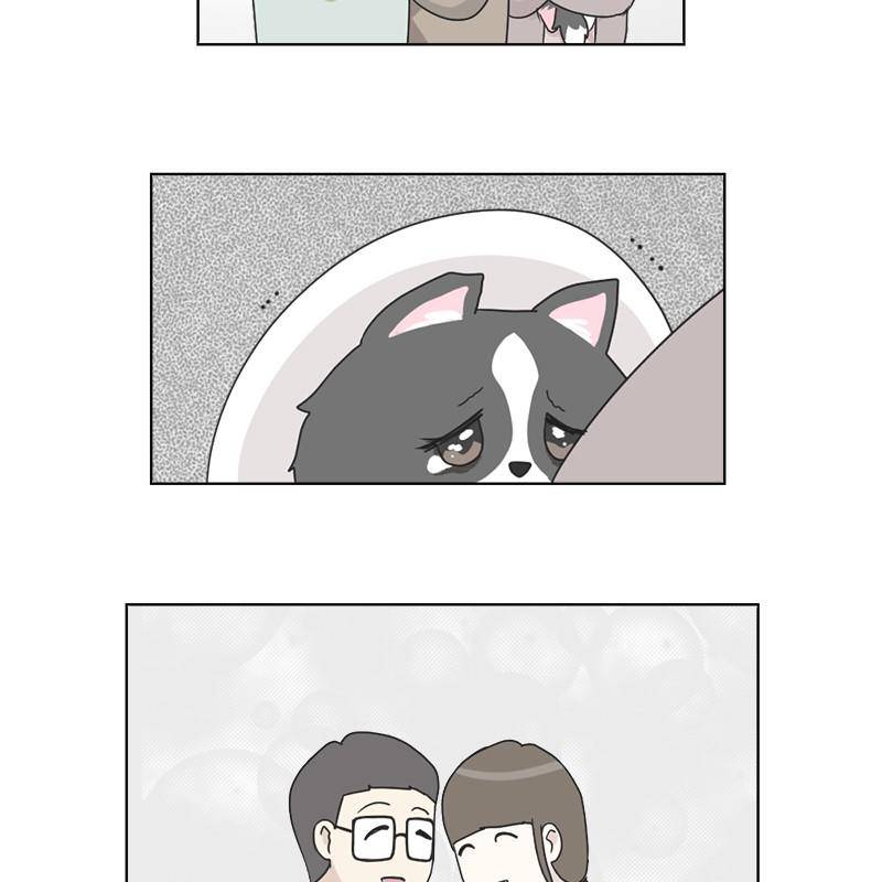 The Dog Diaries Chapter 6 - page 62
