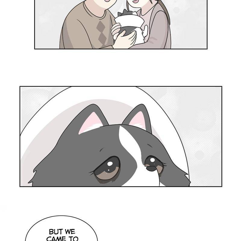 The Dog Diaries Chapter 6 - page 63