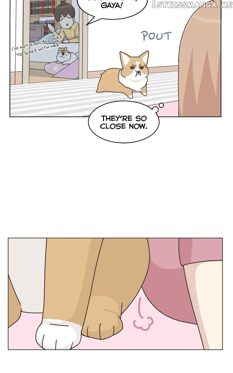 The Dog Diaries Chapter 114 - page 19