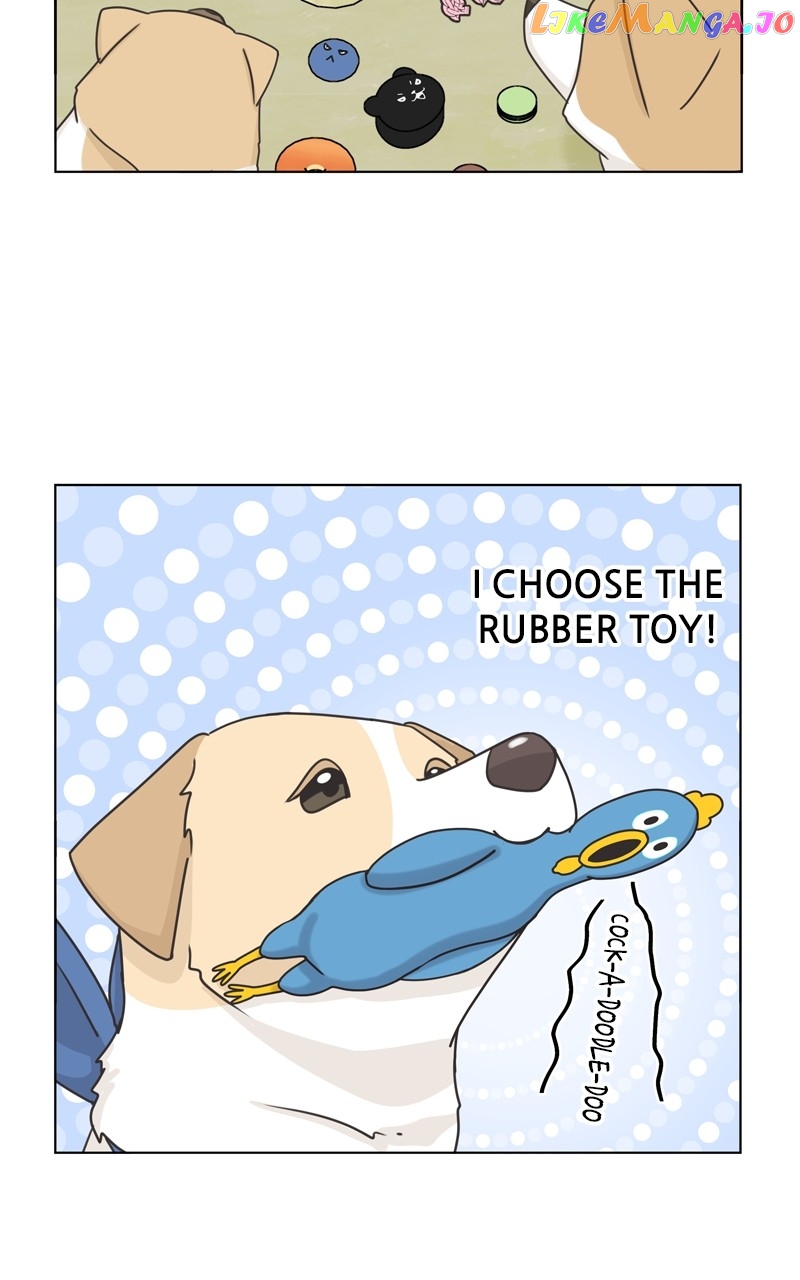 The Dog Diaries Chapter 116 - page 35