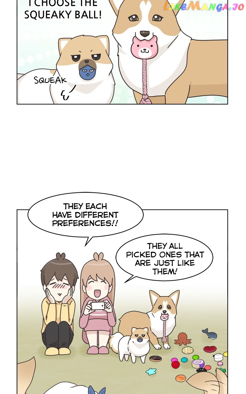 The Dog Diaries Chapter 116 - page 37