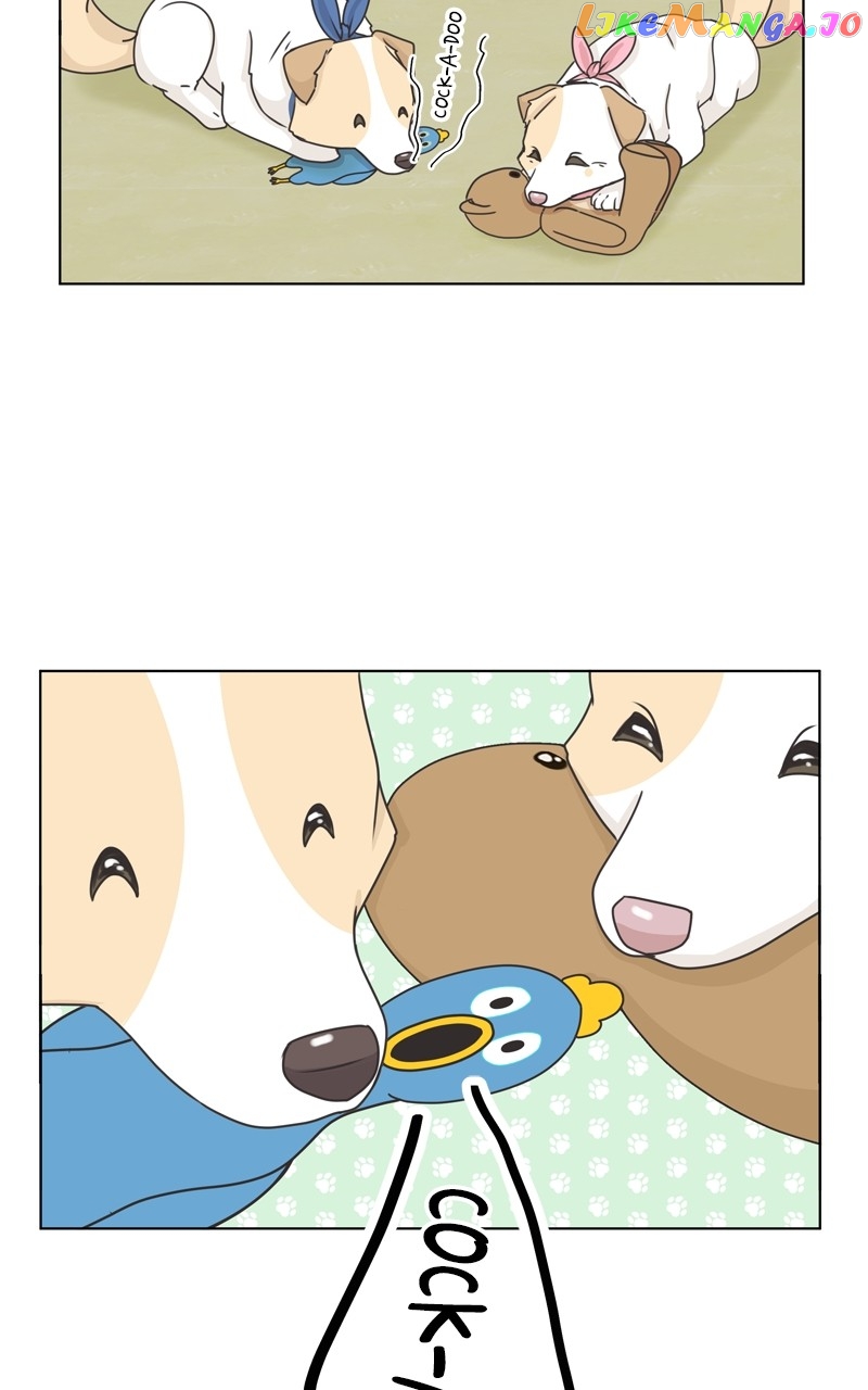 The Dog Diaries Chapter 116 - page 38