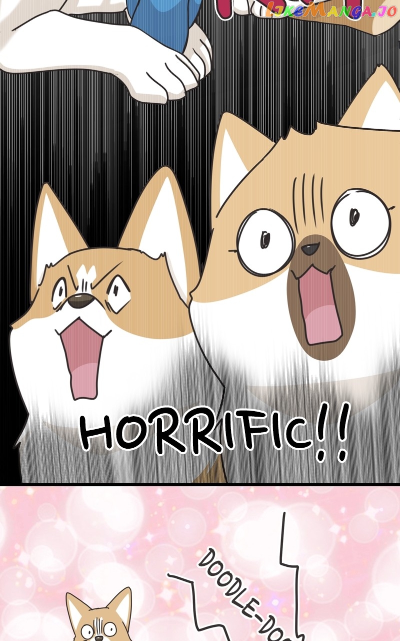 The Dog Diaries Chapter 116 - page 40