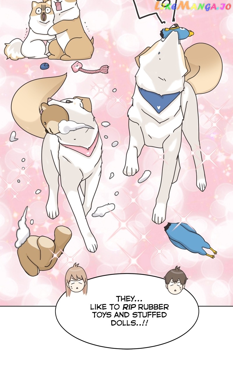 The Dog Diaries Chapter 116 - page 41