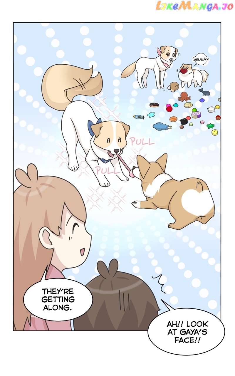 The Dog Diaries Chapter 116 - page 44