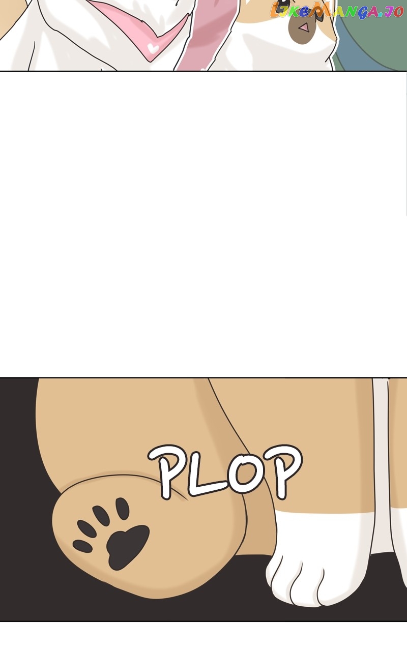 The Dog Diaries Chapter 116 - page 51