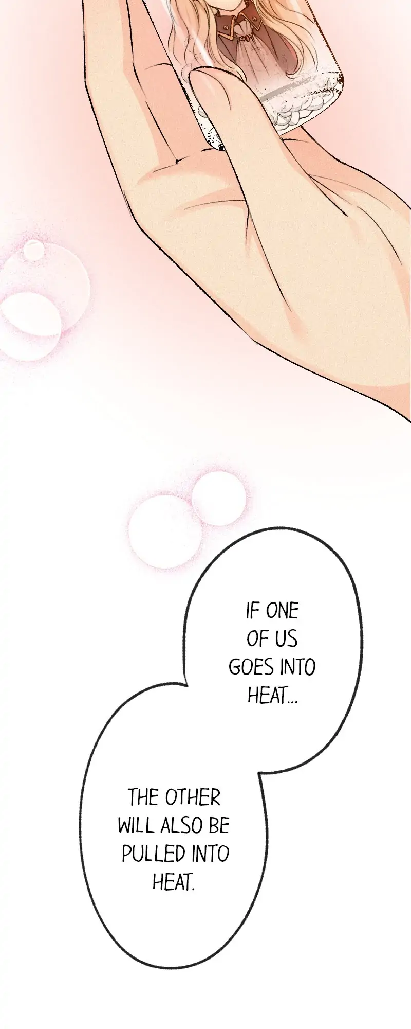 The Heat of the Reincarnated Villainess Chapter 5 - page 17