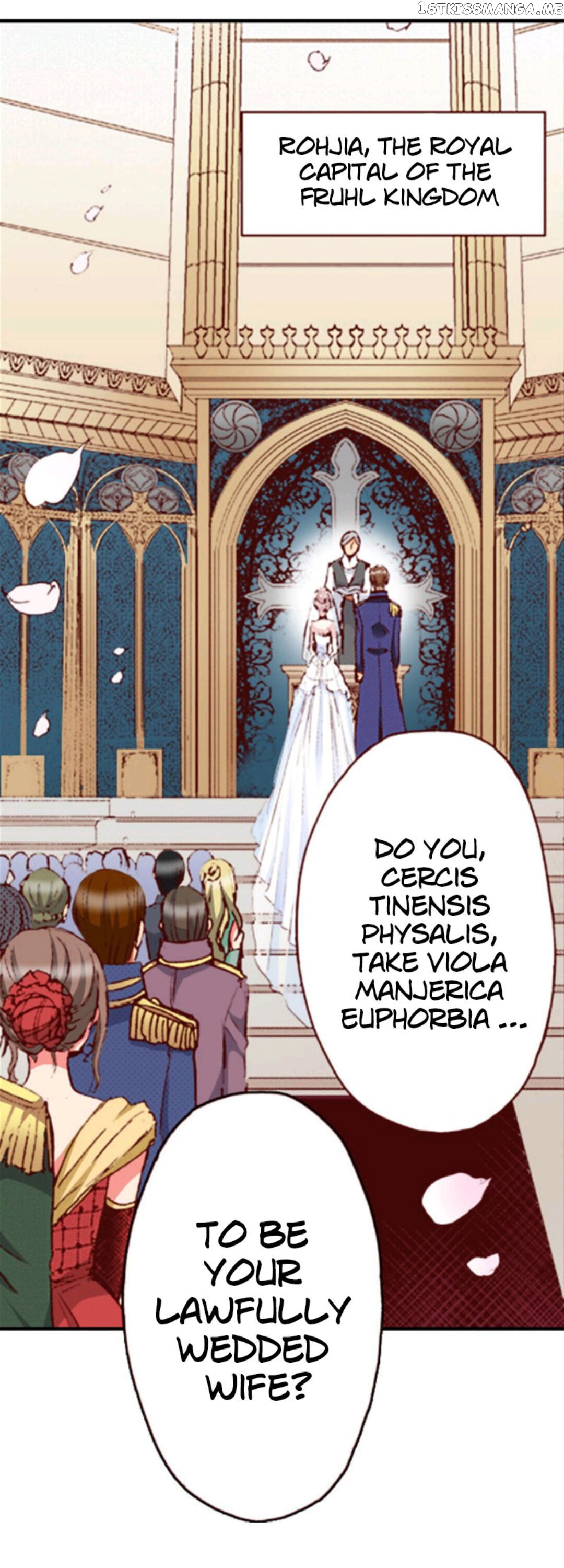 Somebody Please Explain What’s Going On Here! ~A Wedding that Began With a Contract~ Chapter 1 - page 3