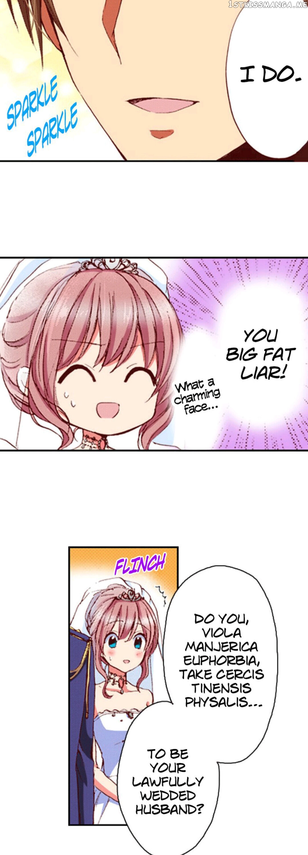 Somebody Please Explain What’s Going On Here! ~A Wedding that Began With a Contract~ Chapter 1 - page 5