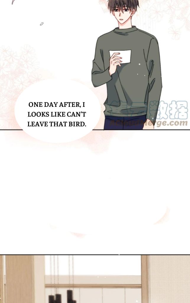 Nothing’s Gonna Change My Love For You chapter 36 - page 12