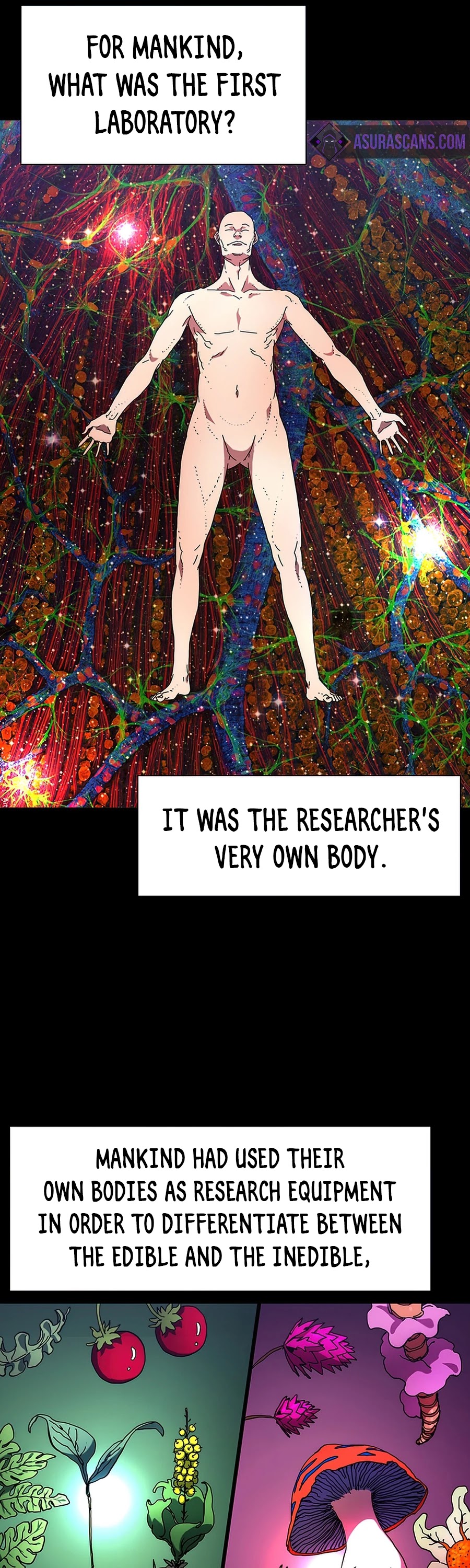 I’m the Only One Loved by the Constellations! chapter 28 - page 5