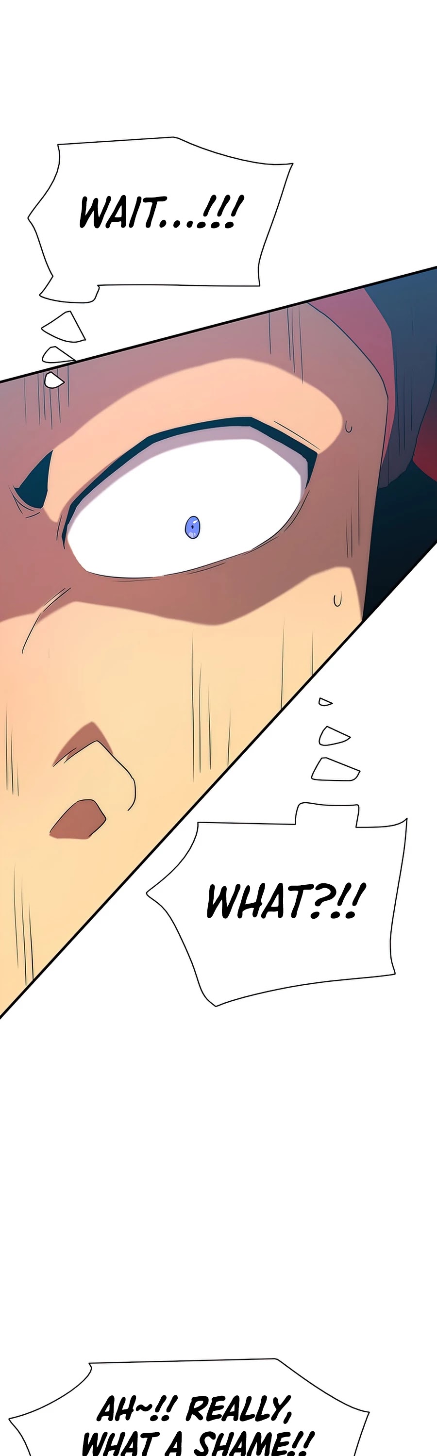 I’m the Only One Loved by the Constellations! chapter 23 - page 68