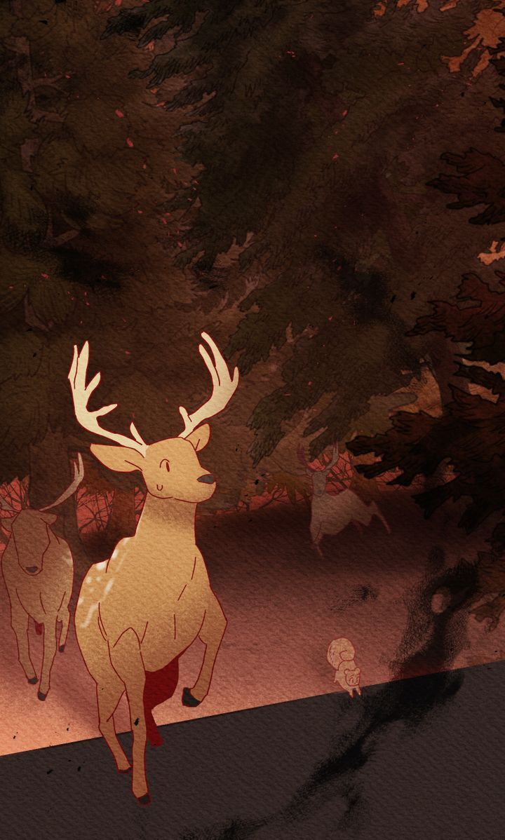 Princess of the Animals chapter 1 - page 11