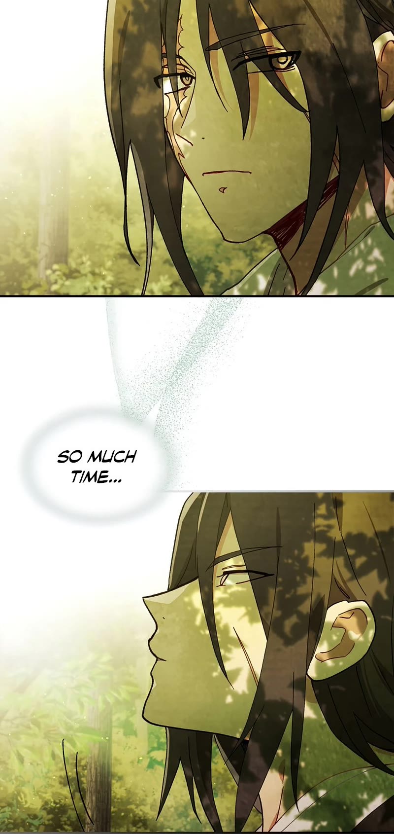 Chronicles Of The Martial God’s Return chapter 38 - page 13