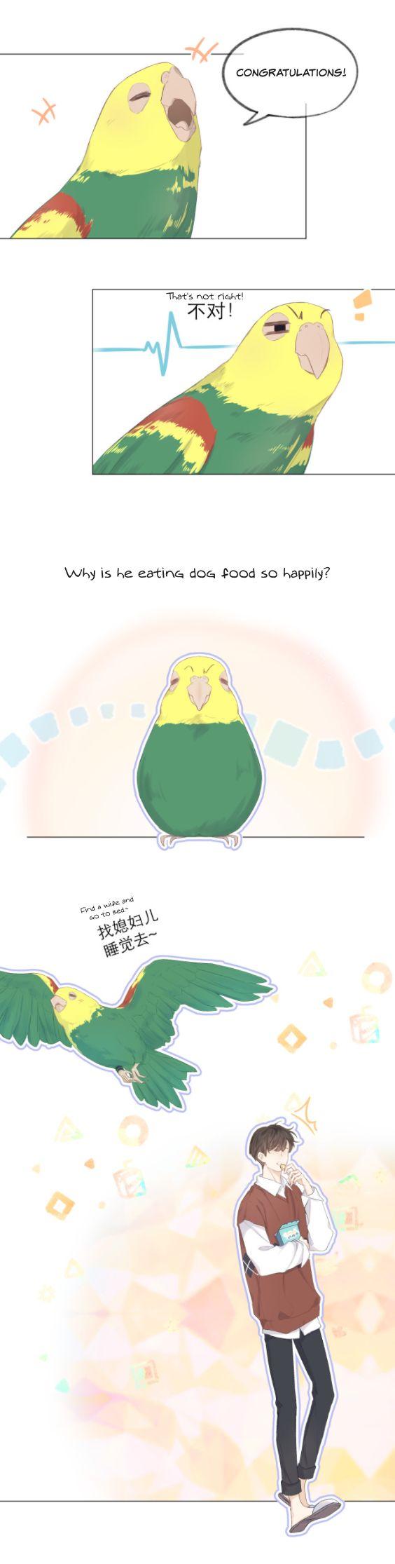 My CP Is So Sweet That I Want To Have A Love Affair chapter 8 - page 5
