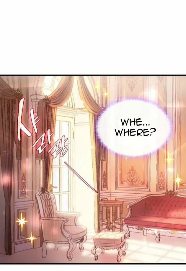 I Tried To Persuade My Brother And He Entrusted The Male Lead To Me Chapter 2 - page 14