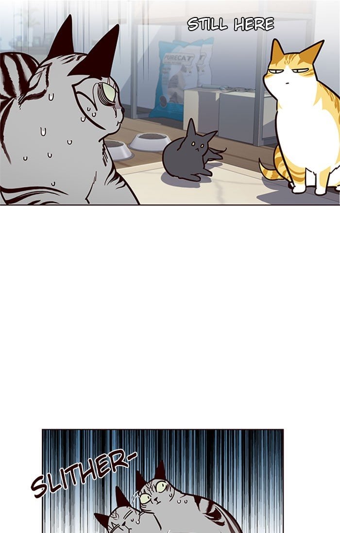 Eleceed - Manhwa Chapter 37 - page 40