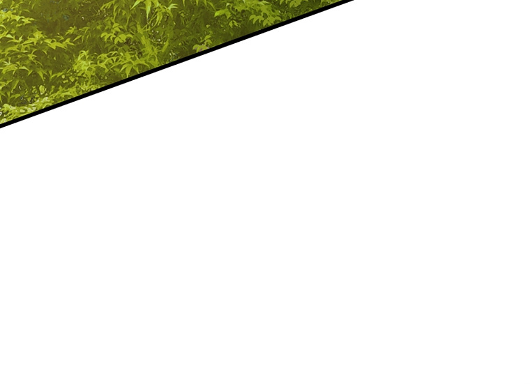 Nostalgic Warrior chapter 6 - page 66