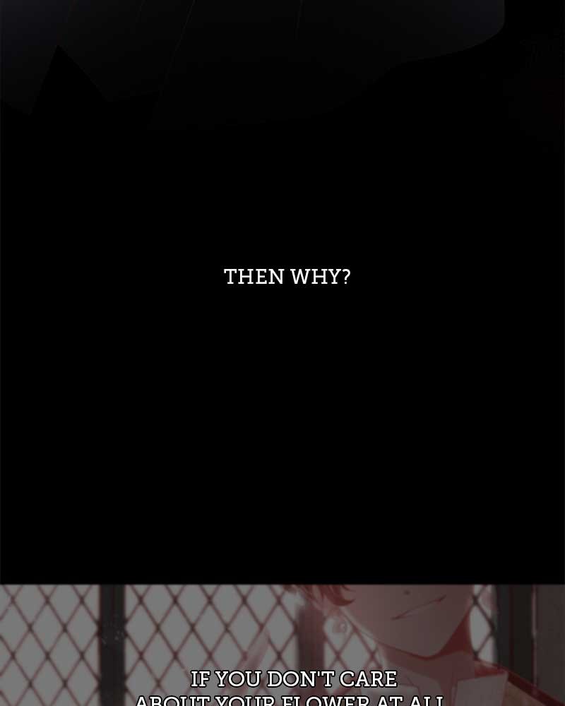Do Snakes Eat Flowers? chapter 8 - page 70