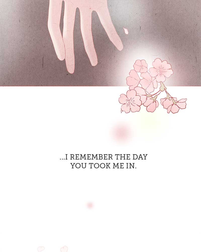Do Snakes Eat Flowers? chapter 2 - page 27
