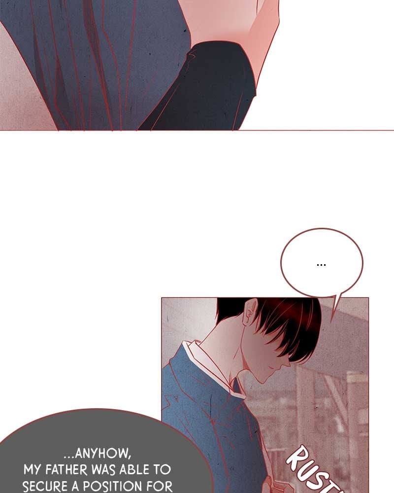 Do Snakes Eat Flowers? chapter 1 - page 43
