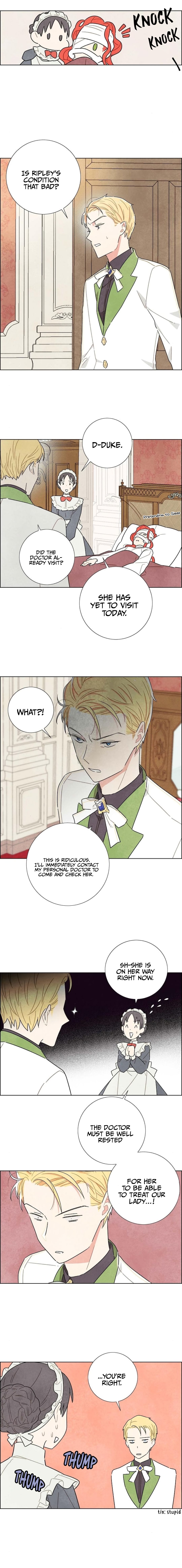 I Stole The Male Lead’s First Night chapter 17 - page 11