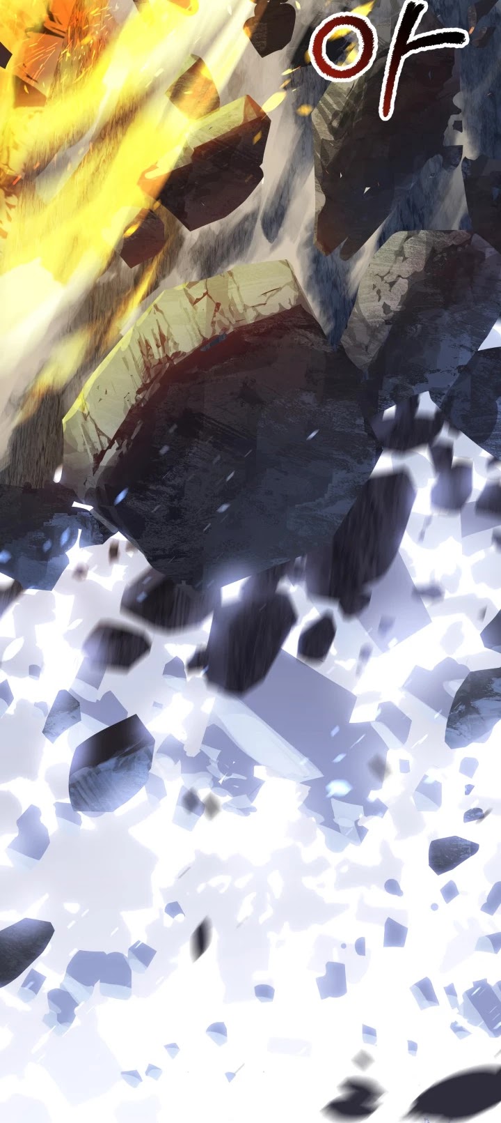Survival Story of a Sword King in a Fantasy World chapter 67 - page 13