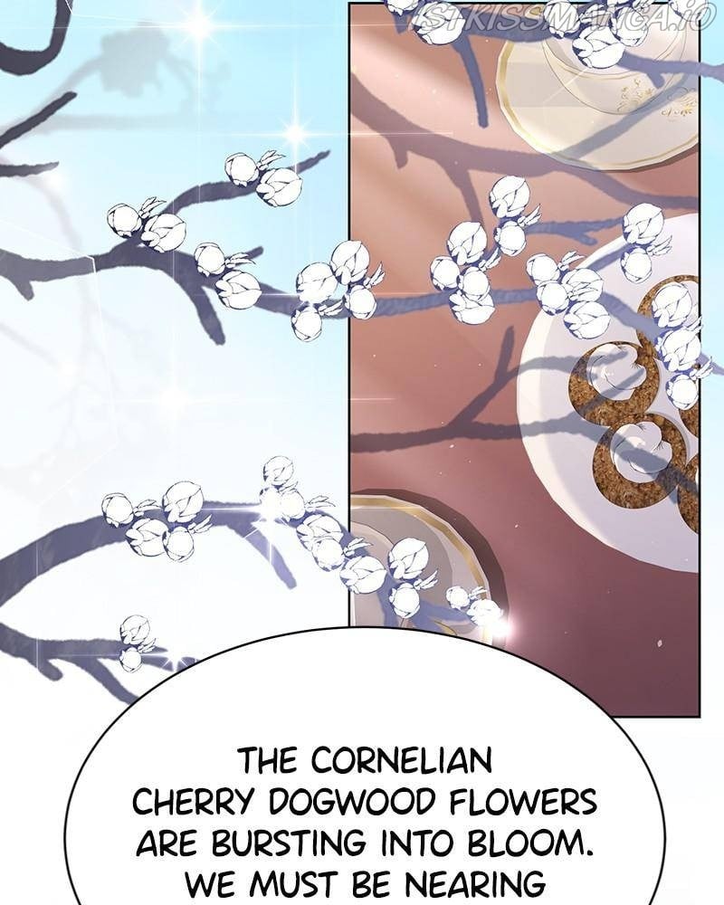 Shadow Bride chapter 50 - page 30