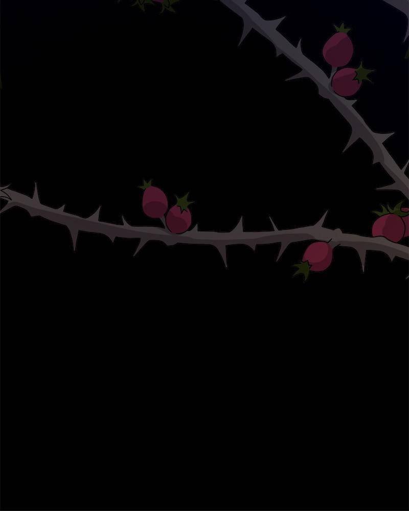 The Princess’ Jewelry Box Chapter 31 - page 39