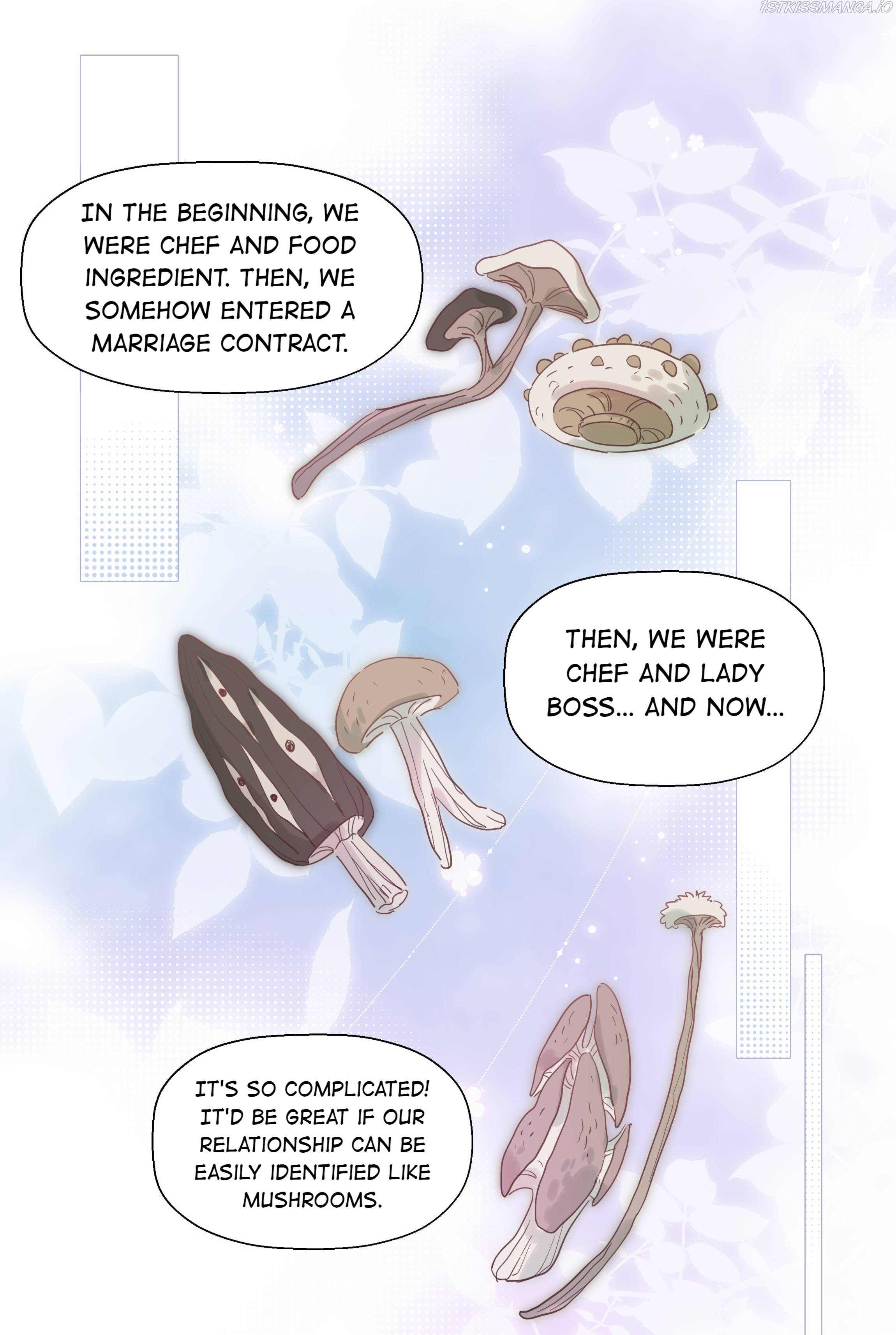 What Should I Do If I’ve Signed A Marriage Contract With The Elven Princess Chapter 66 - page 7