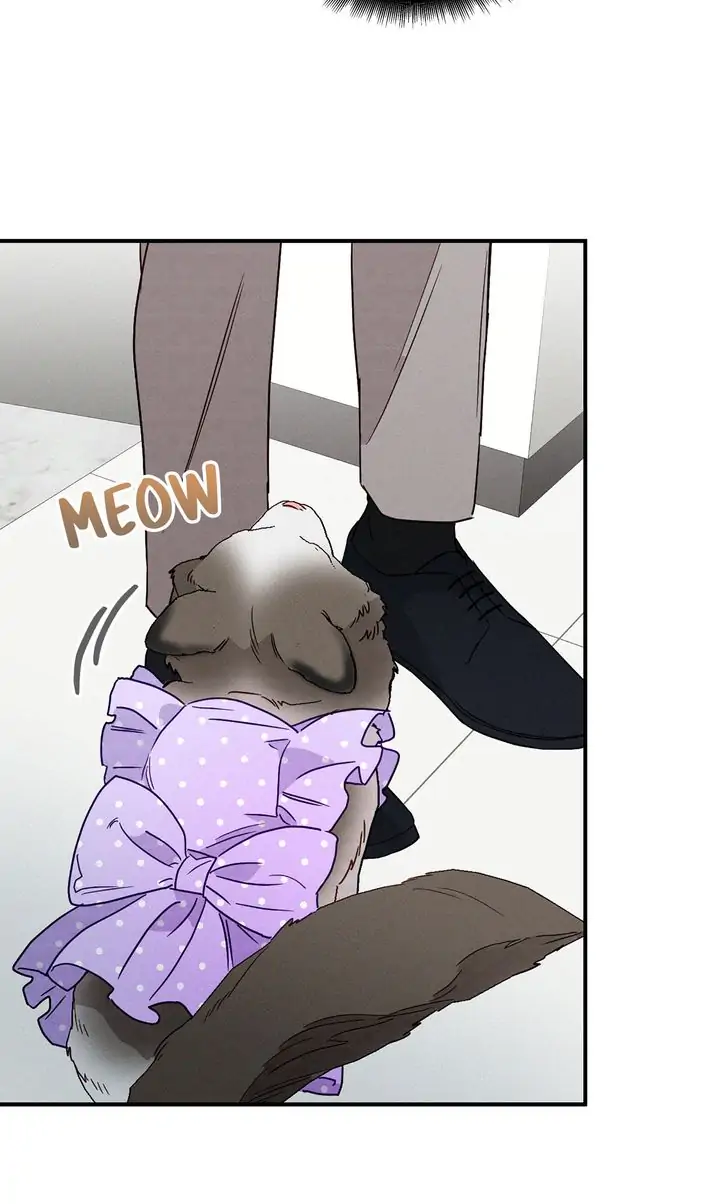 A Morning Kiss at Tiffany’s Chapter 6 - page 81